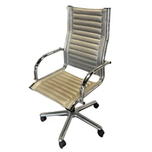 SAINT-ANDIOL Fauteuil de direction occasion