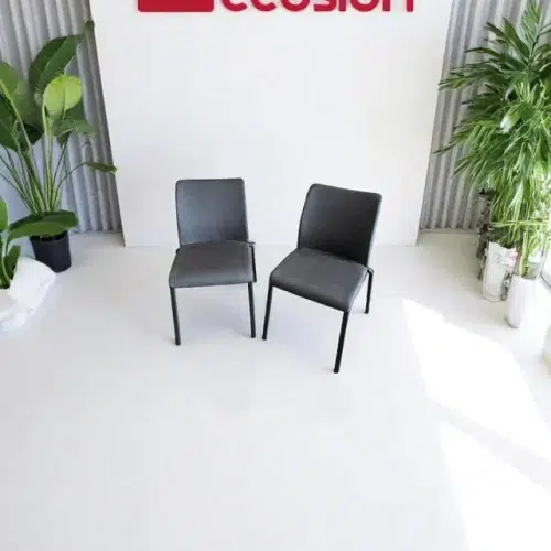 SAINT-ANDIOL Lot de 2 chaises visiteurs