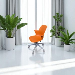 Chaises school